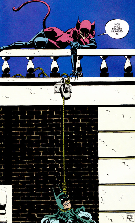 endternet:  “Look what the cat dragged in.”Tim SaleJeph LoebDark Victory 