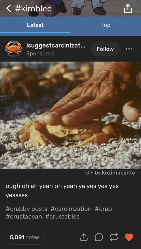 Tumblr media