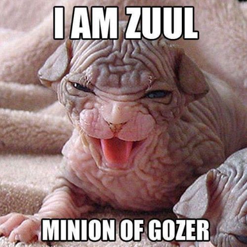 Ghostbust this!#ghostbusters #ghostbuster #zuul #gozer #film #movie #movies #quote #nostalgia #80s #