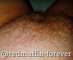 redmuffin-forever:  