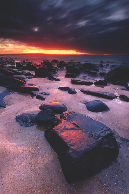 Tea Tree Bay | © | S.L.Δ.B.
