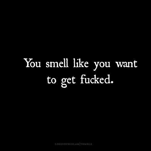 dollfacebikerbabe:  heresthelegend:  angelically-offered:  You have a great sense of smell.  Love that smell of hardcore sex that fills the room  🙌🏼😍
