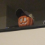 ogscotty2