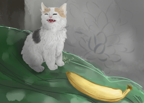 epikowlofficial:I really love drawing these meme cats