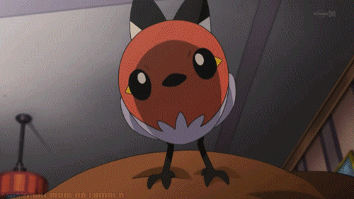 Hey! It's Marco!