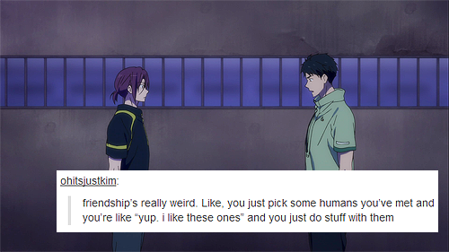 sneezing-haru:  hi