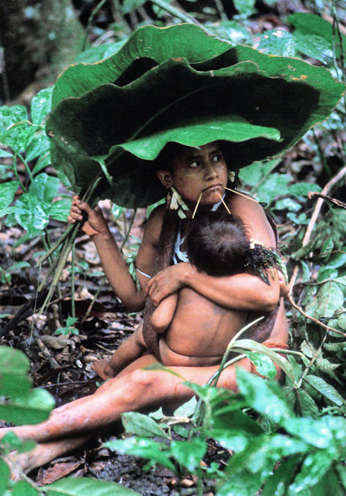 bam-bie:Amazon rain forest. A Yanomami woman on a gathering expedition with other women seeks shelte