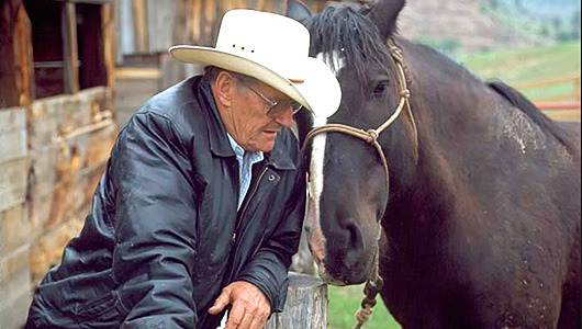 Octogenarian horse rescuer stars in new film
Dayton O. Hyde, a Western icon known as the ‘cowboy conservationist,’ is profiled in the new documentary 'Running Wild.’