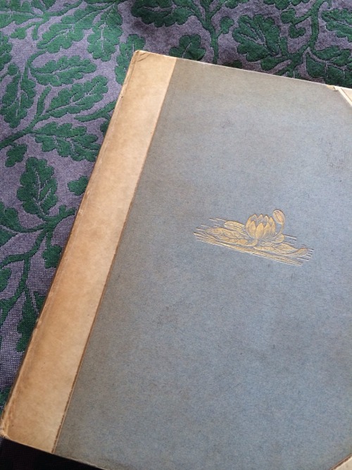 221booksinthetardis: My mum gave me this gorgeous first illustrated edition of “The Picture of