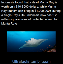 ultrafacts:  (Fact Source) Follow Ultrafacts for more facts 