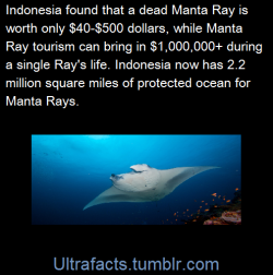 ultrafacts:  (Fact Source) Follow Ultrafacts