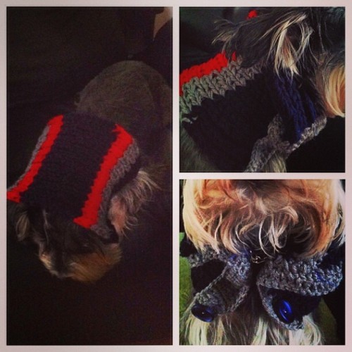 #picstitch #crochet #loom #handmade #dog #collar #love Super Cute!!