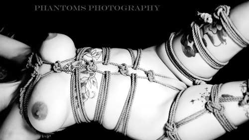 phantomsphotography13: Model: Shannon LynnShibari Rigger: Checkmate