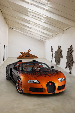 expens:  2012 Bugatti Veyron Grand Sport Bernar Venet | More       