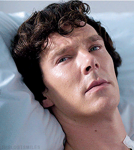 johnlockiseverywhere:shiplocks-of-love:What kind would that be oh gee LET ME THINK HERE FOR A WHILE-