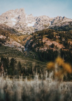 dirtlegends:  Grand Teton National Park