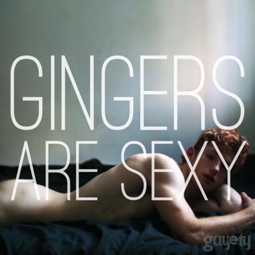 Porn photo Ginger Men