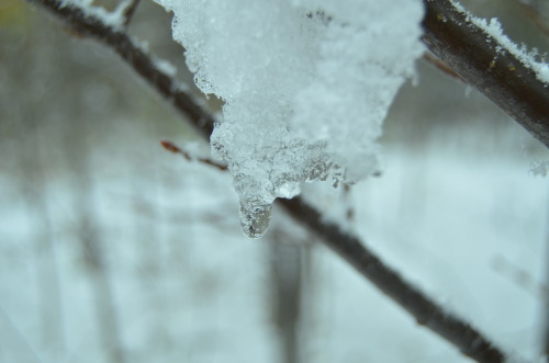 Snowy day.