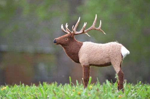 Needle Felted Elk by Teresa Perleberg