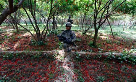 freeafghanistan:  oakapples:  Soldiers in groves of pomegranate trees, Afghanistan. Kandahar was once renowned for the quantity and quality of pomegranate fruit that it exported to foreign markets.  Look at these ugly fuckers polluting Kandahar’s Anaar