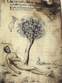 wetreesinart:Miscellanea d'alchimia, Codex