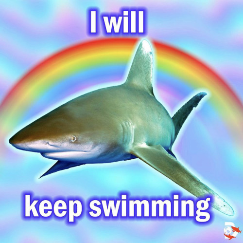 carcinized:the “affirmations” the official shark week instagram posted are really funny. like yeah Mecore tbh