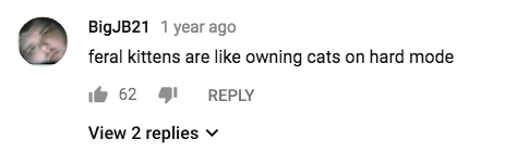 flamewarp: jesterball:  BigJB21 spotted on feral kitten socialization video  