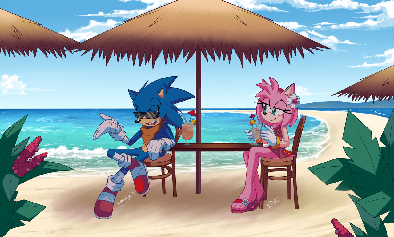 🍂🏳️‍🌈 SonicWind-01 🏳️‍🌈🍂 on X: When they realized what they just  said~ #SonicTheHedgehog #amyrose #sonamy #fanart #sonicriptide #meme   / X