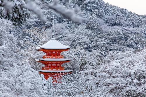 fuckyeahjapanandkorea:「朱色の塔」新年の大雪がもたらした京都清水寺の子安の塔の雪景色。。2015年1月2日 撮影。。 (Shinya Oyakawa)