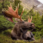 explorethewild