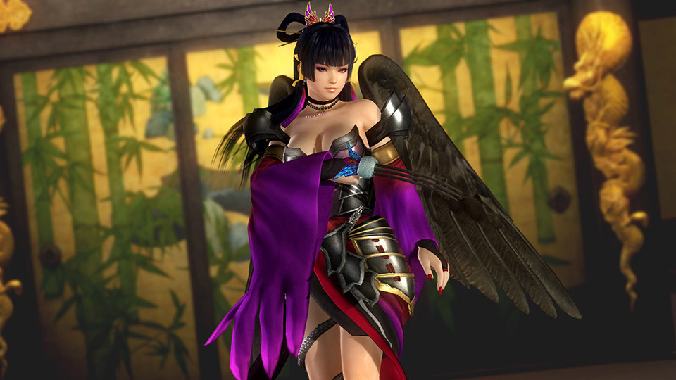 lovemadamenova:  deadoralive-universe:  Samurai Warriors Costumes DOA5LR SW Mashup