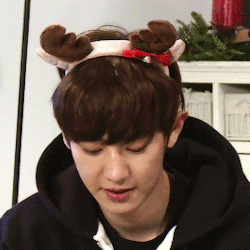 sefuns:  most handsome reindeer :)