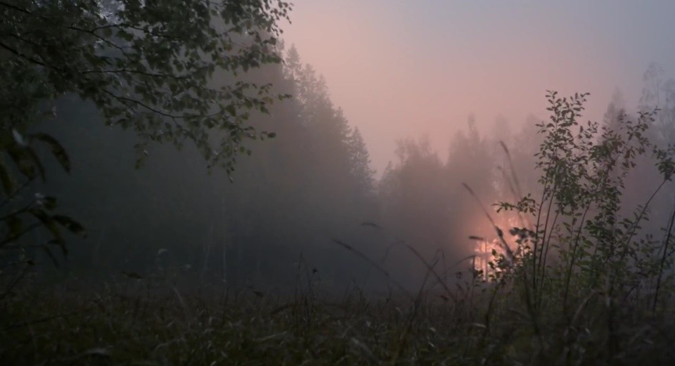 zukodoesbjj:  a collection of screenshots from fountain by iamamiwhoami (aka my favourite