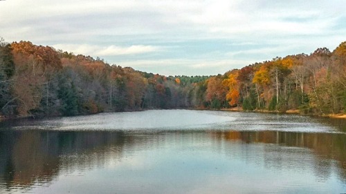 fuxit:  My aunt sent me these from her hike, I miss Ohio during the fall, it’s so beautiful😟🙊 