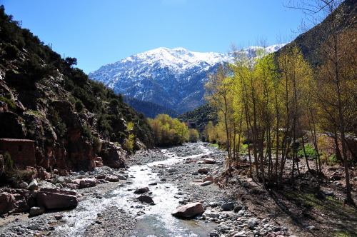  The Ourika Valley through the Atlas Mountains, Amazigh lands ⵣ 