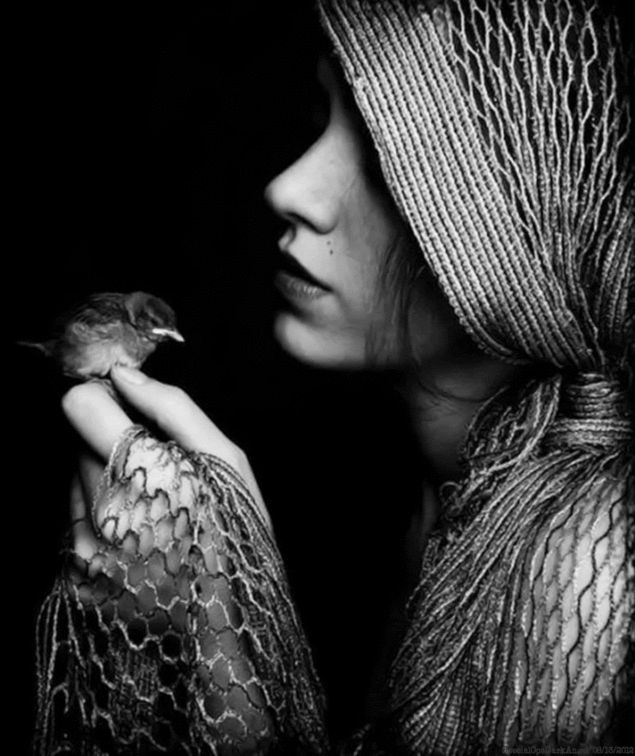 knitphilia:  Source? (I think I see a watermark down there, but I can’t read it.)