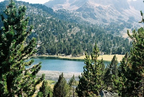 laiapallares: Andorra. October 2017.  Camera: Pentax P30n Film: Kodak Color Plus 200 ISO 35mm