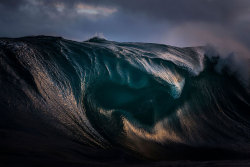 tomasorban:  Ray Collins photo