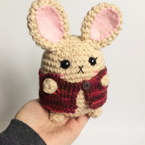 I taught myself to knit so that I could make tiny sweaters for my tiny plushies. They are finally he