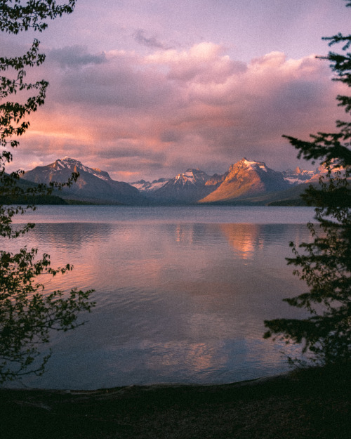 forrestmankins: Montana Summer