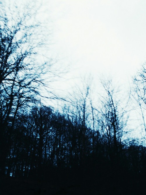 covered-with-mist:  http://covered-with-mist.tumblr.com/