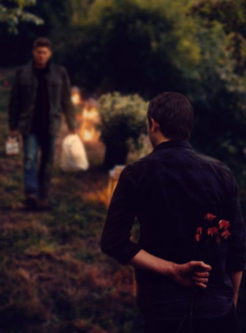 lgbtgivesmehope:  [Various photos of gay couples] 