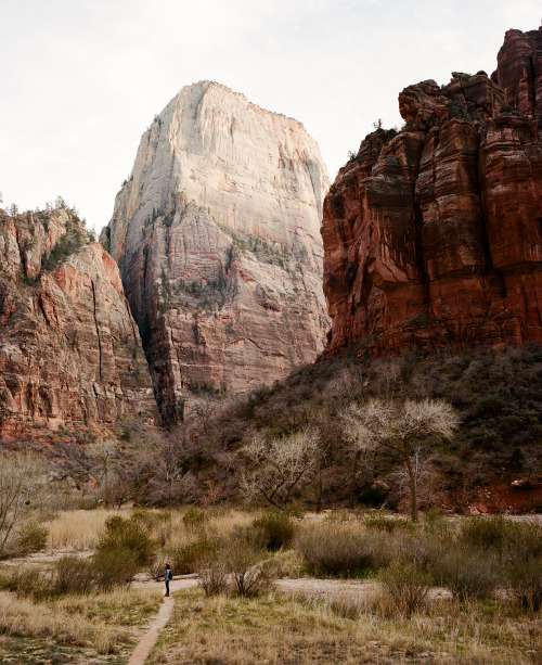 brianflaherty:Zion National Park, UT