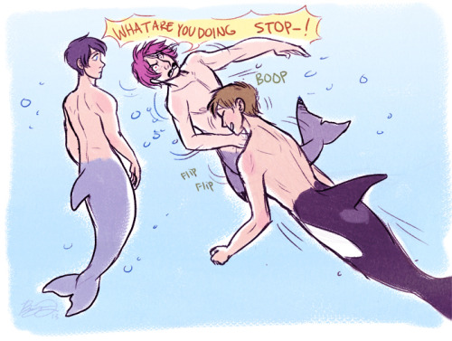 mermen-in-my-teacup:  If only it were that easy to calm Rin down like that. I love the fact that killer whales know that sharks go into a coma state when upside down so they just flip them over for fun sometimes. then eat them. 
