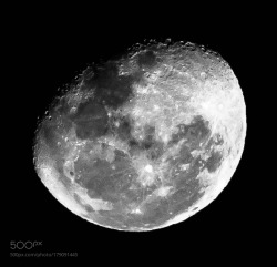 Kohalmitamas: Lake Moogerah - Waning Gibbous Moon (88.5%) B&Amp;Amp;W By Aanikoannie