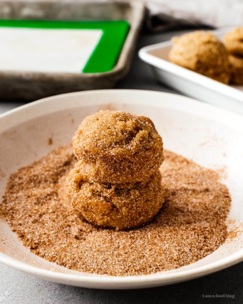 sweetoothgirl:  The Best Snickerdoodles