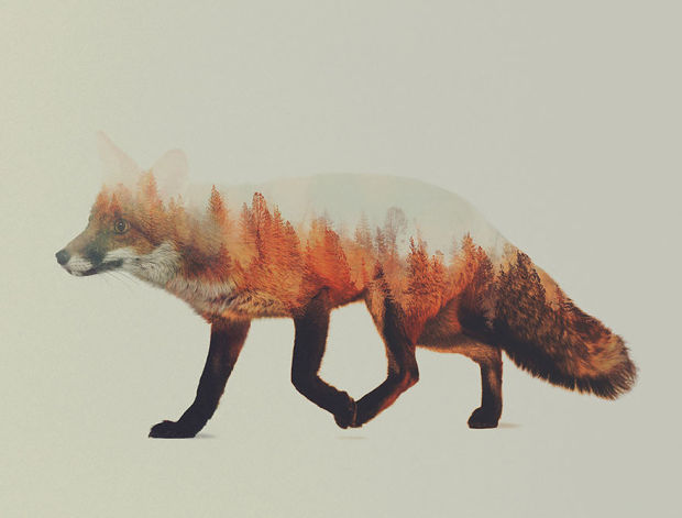 blazepress:  Amazing Double-Exposure Animal Portraits by Andreas Lie 