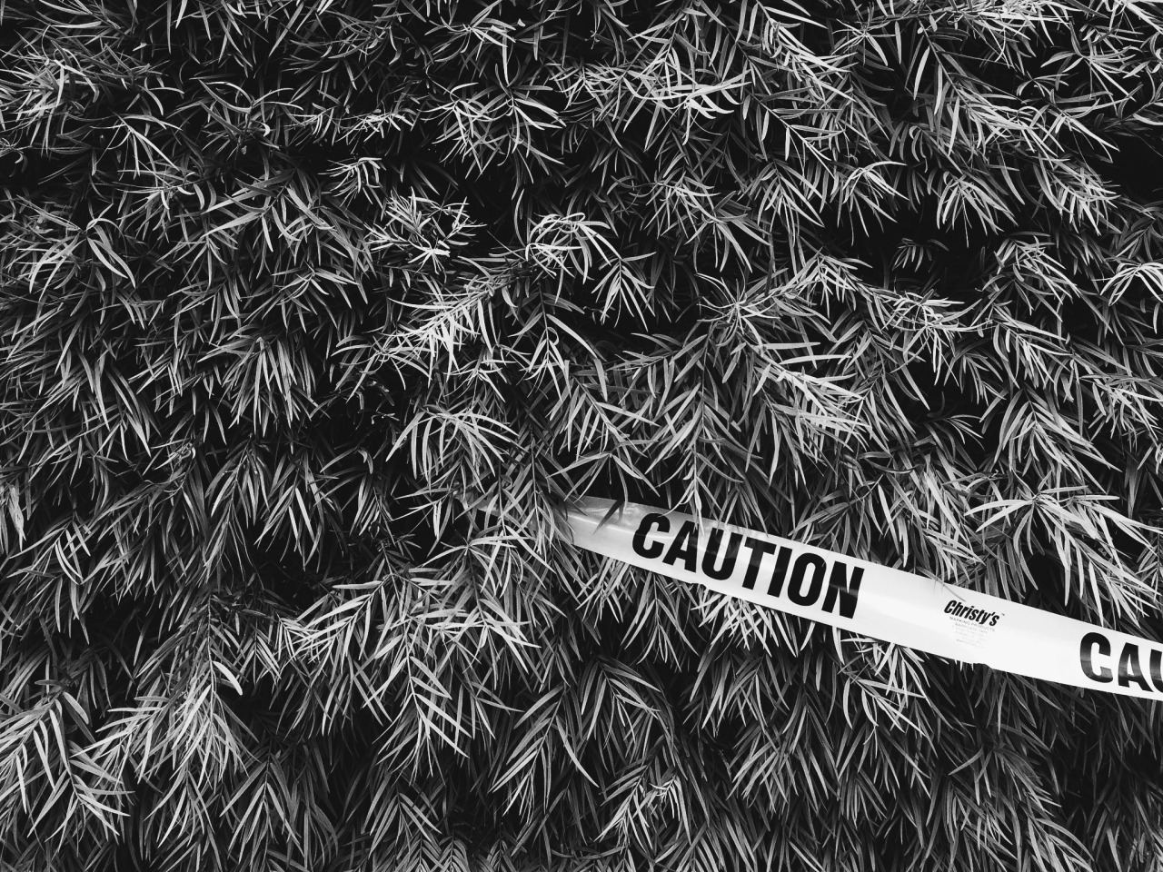 danielodowd:  http://theotherhelenkim.vsco.co/