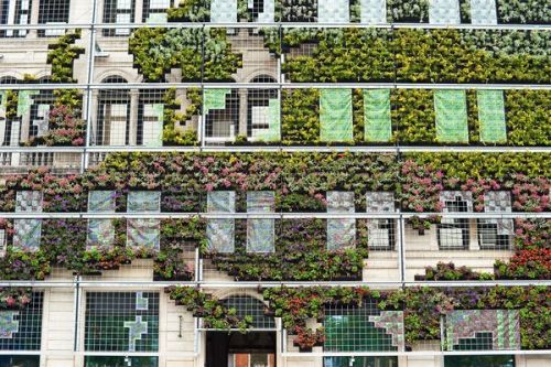 neuromanticism: abluegirl: Living Wall These vegetated surfaces don’t just look pretty. They h