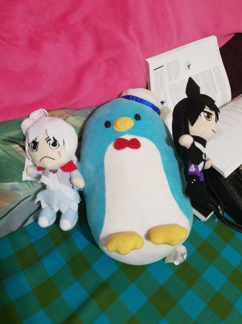 I finally got my plushies, and I blame you. You made me get these plushies. I have a collection of penguin plushies, and since you came to my life I associate every penguin with you. I will never see a penguin the same again ლ(◉౪◉ლ)AYYYYY RUMMY